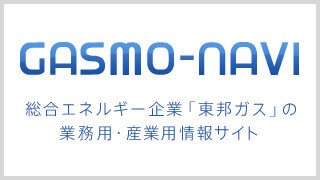 GASMO-NAVI